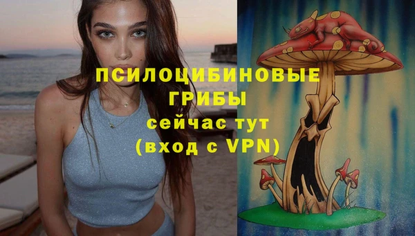 2c-b Алексин