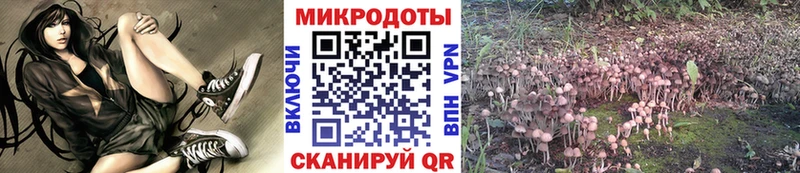 Галлюциногенные грибы MAGIC MUSHROOMS kraken вход Карачаевск цена
